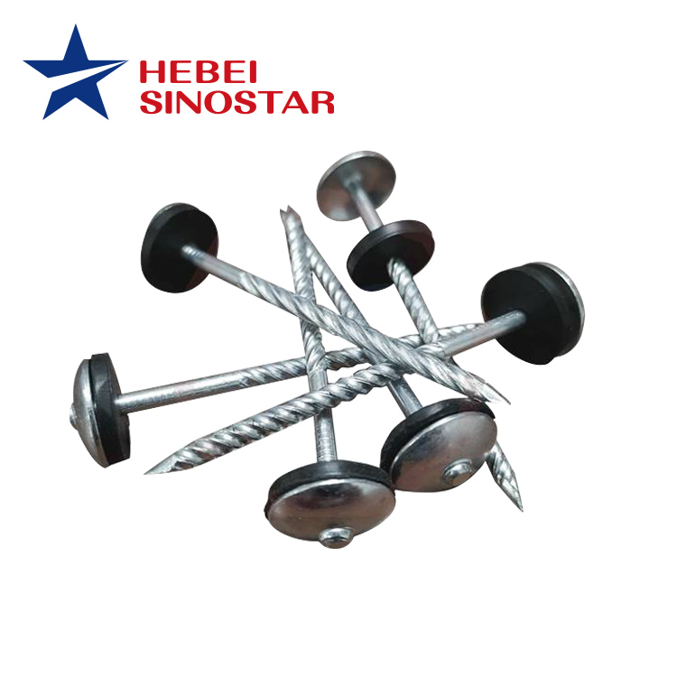 Galvanized Umbrella Head Roofing Nails（Clavo）