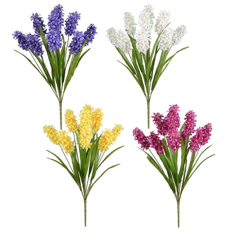 10127115 Decorative Dutch Hyacinth Flower Bulbs X 10