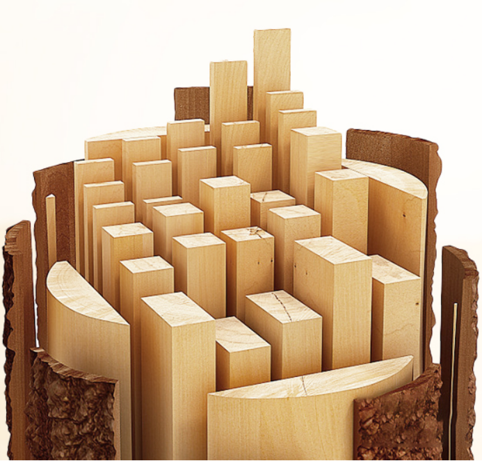 FUJIAN SHUNCHANG SHENGSHENG WOOD INDUSTRY LIMITED COMPANY