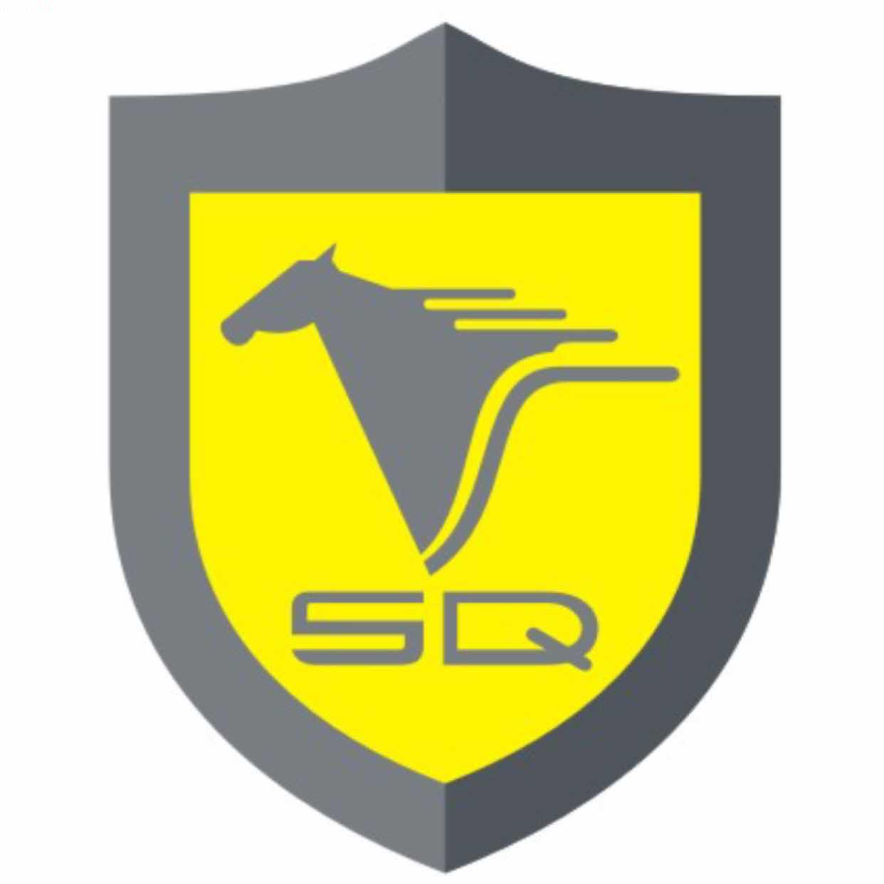Jiangxi Saichi Technology Co., Ltd.
