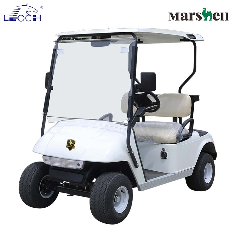Electric Golf Car DG-C2