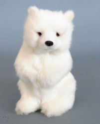Polar Bear