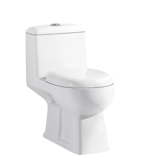 LR-S506 Wash down one piece toilet