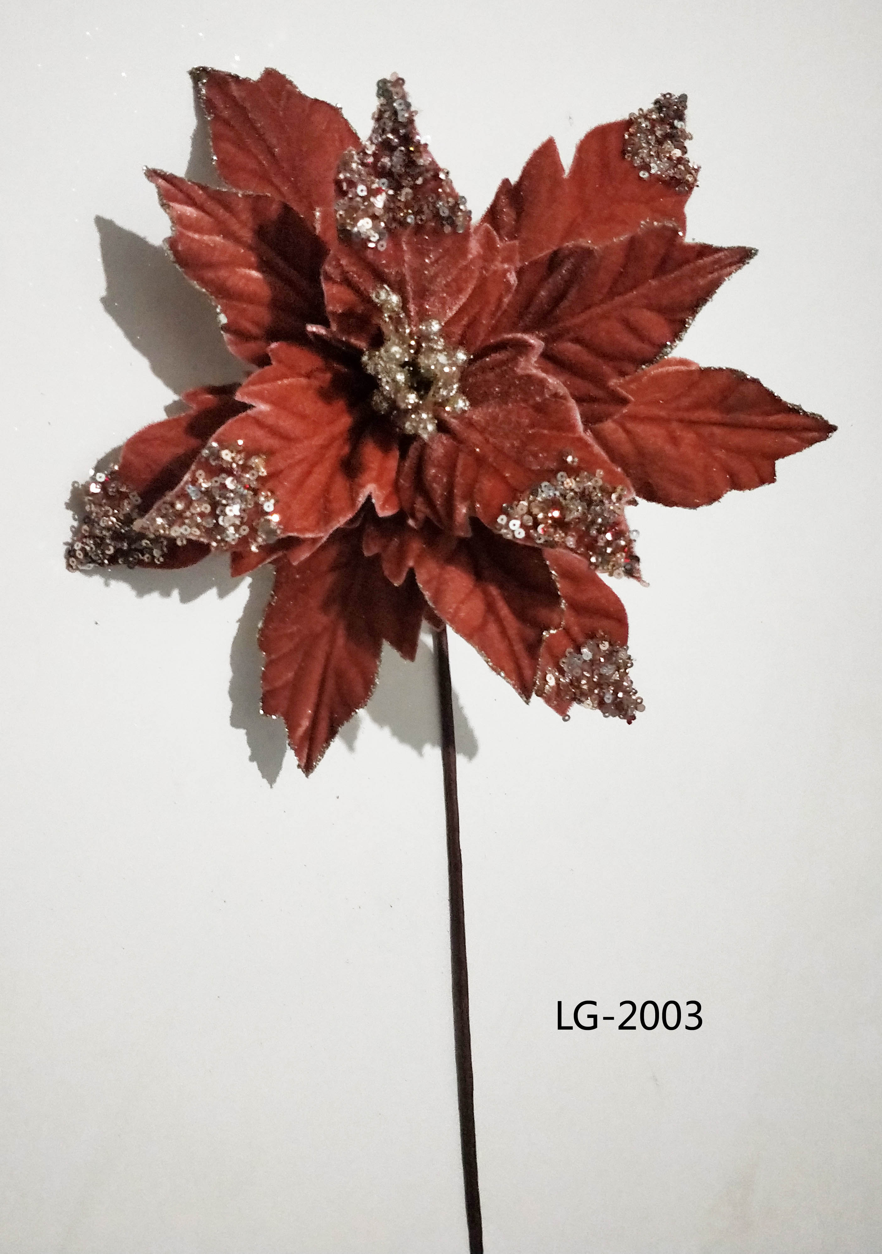 LG-5