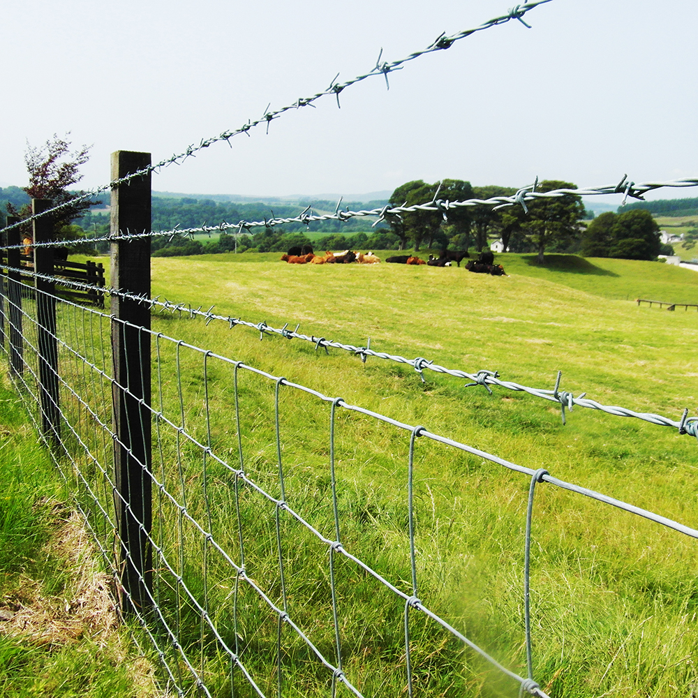 Проволока колючая однорядная 2.0мм 400м Barb Wire
