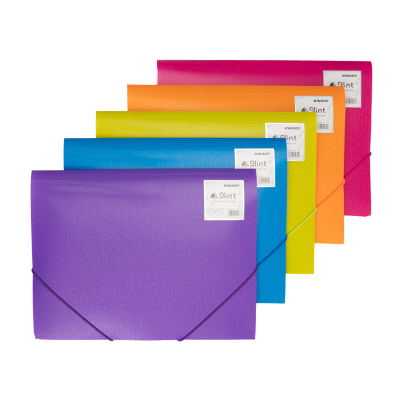 Document case