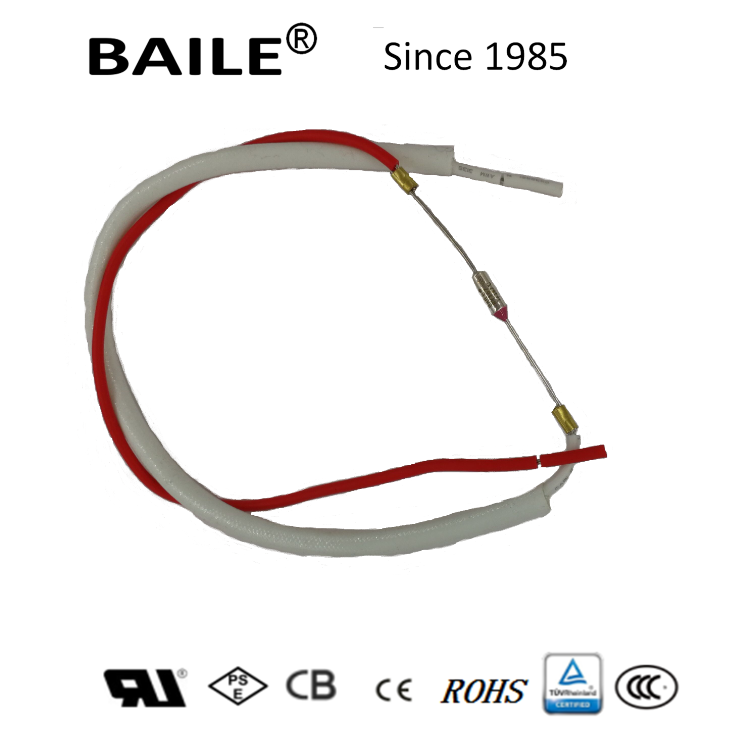 Thermal Fuse for Air Tryer
