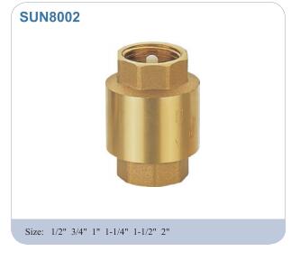 Brass Check Valve