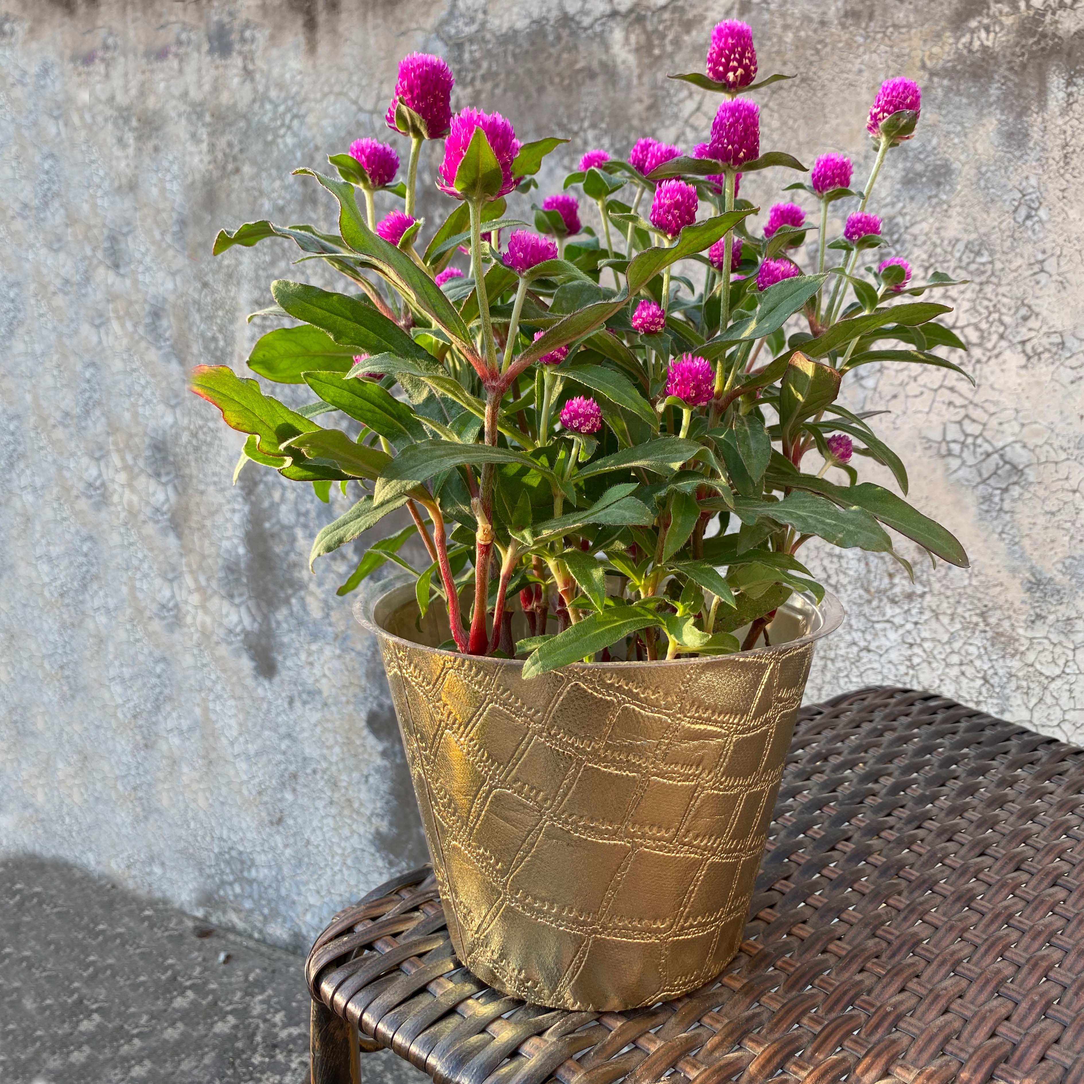 NON WOWEN FABRIC plastic cover pot