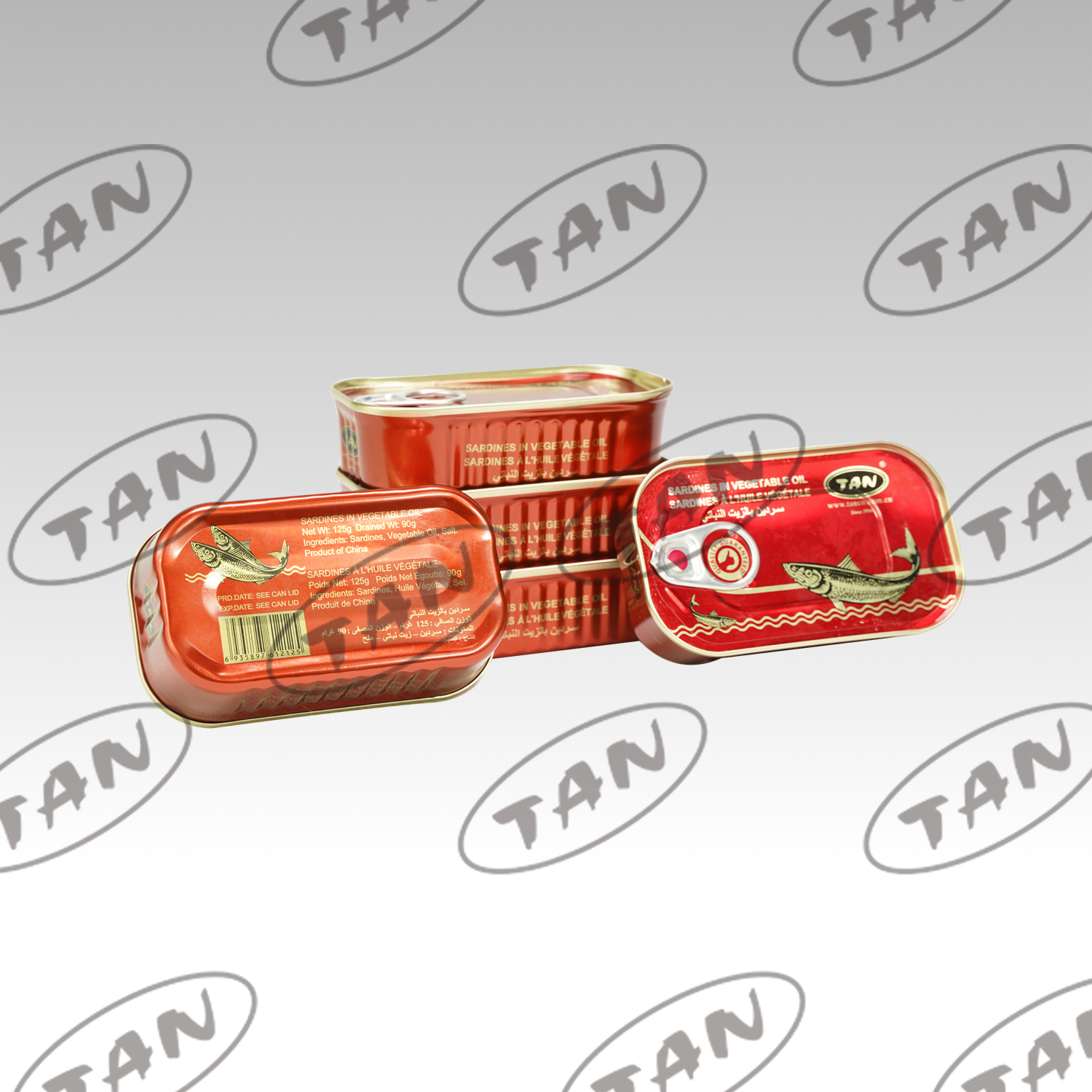 canned sardine in oil