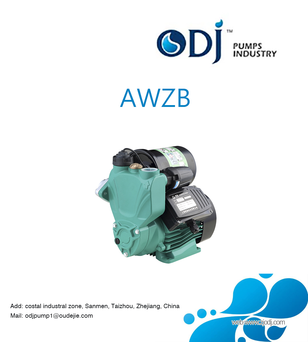 Awzb Auto Peripheral Pump