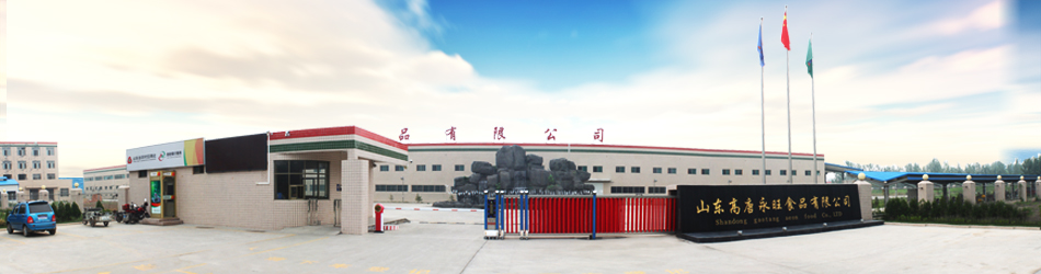 Gaotang Aeon Trade lmport & Export Co.,Ltd