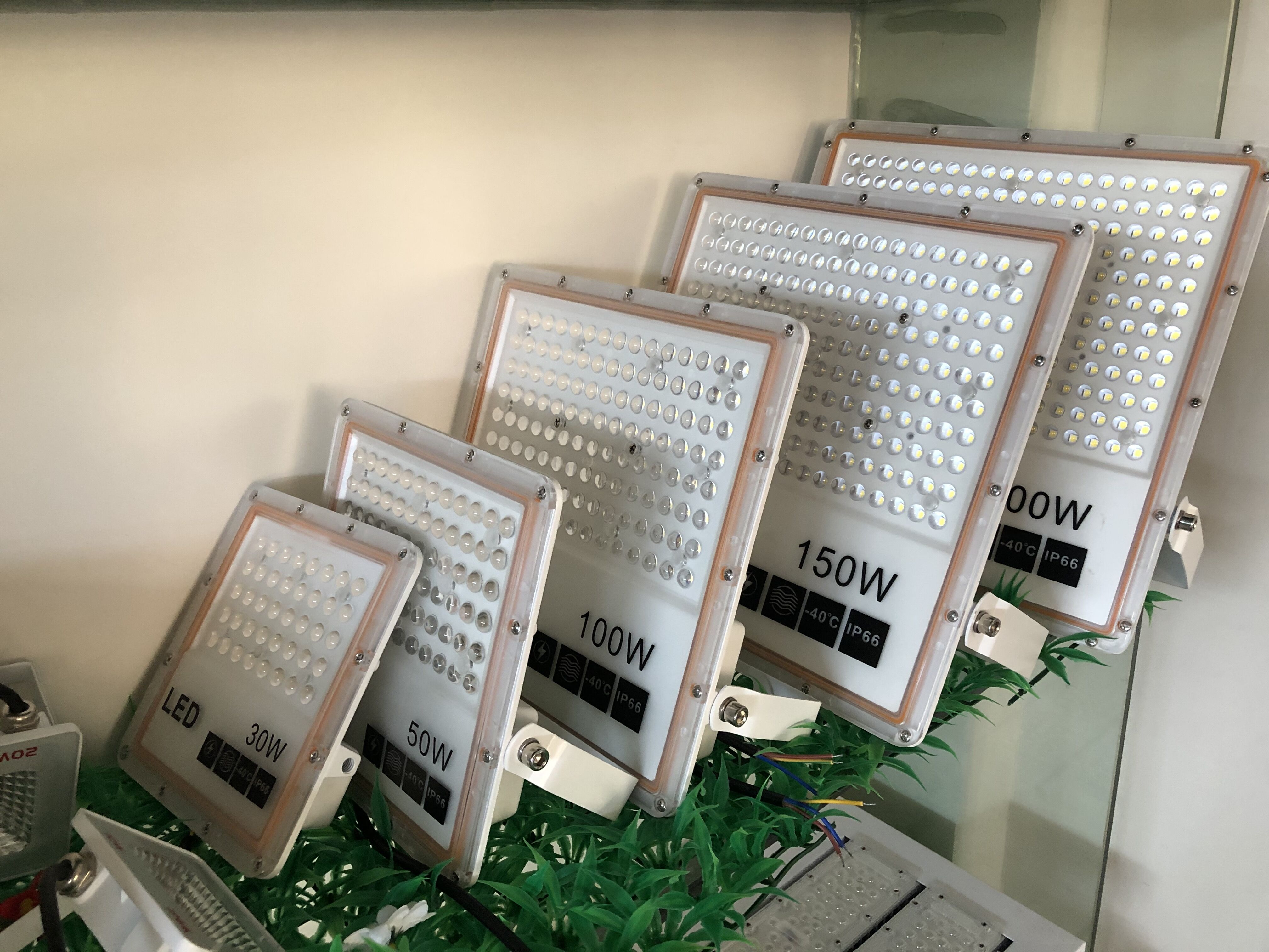 LED Light