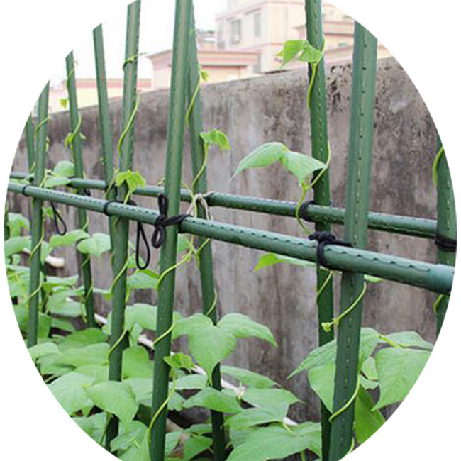 1.2m plant stake, plant climbing support
