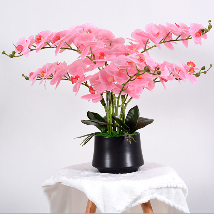 HuNan qiqi Technology Company Limited – Plastic plants 4