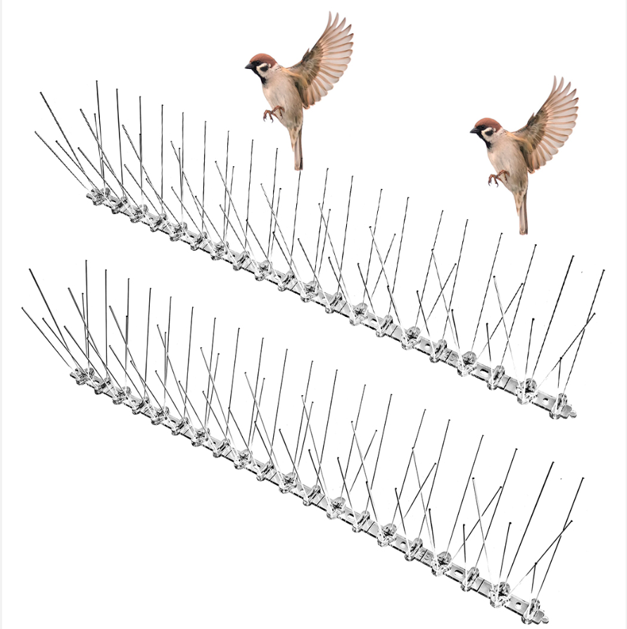 Bird Spikes