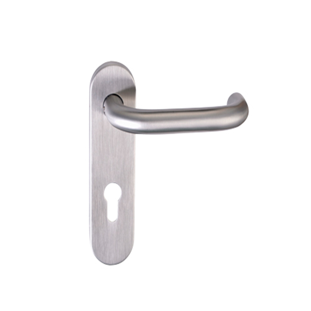 Euro Stainless Steel Backplate Lever Handle SS2003