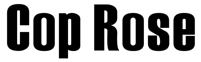 Hong Technology Co.,Ltd