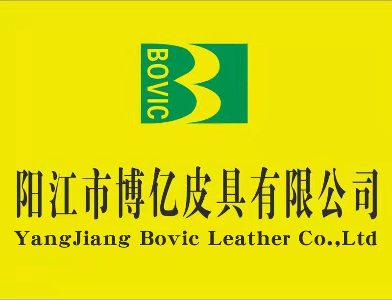 Yangjiang Boyi Leather Goods Co., Ltd.