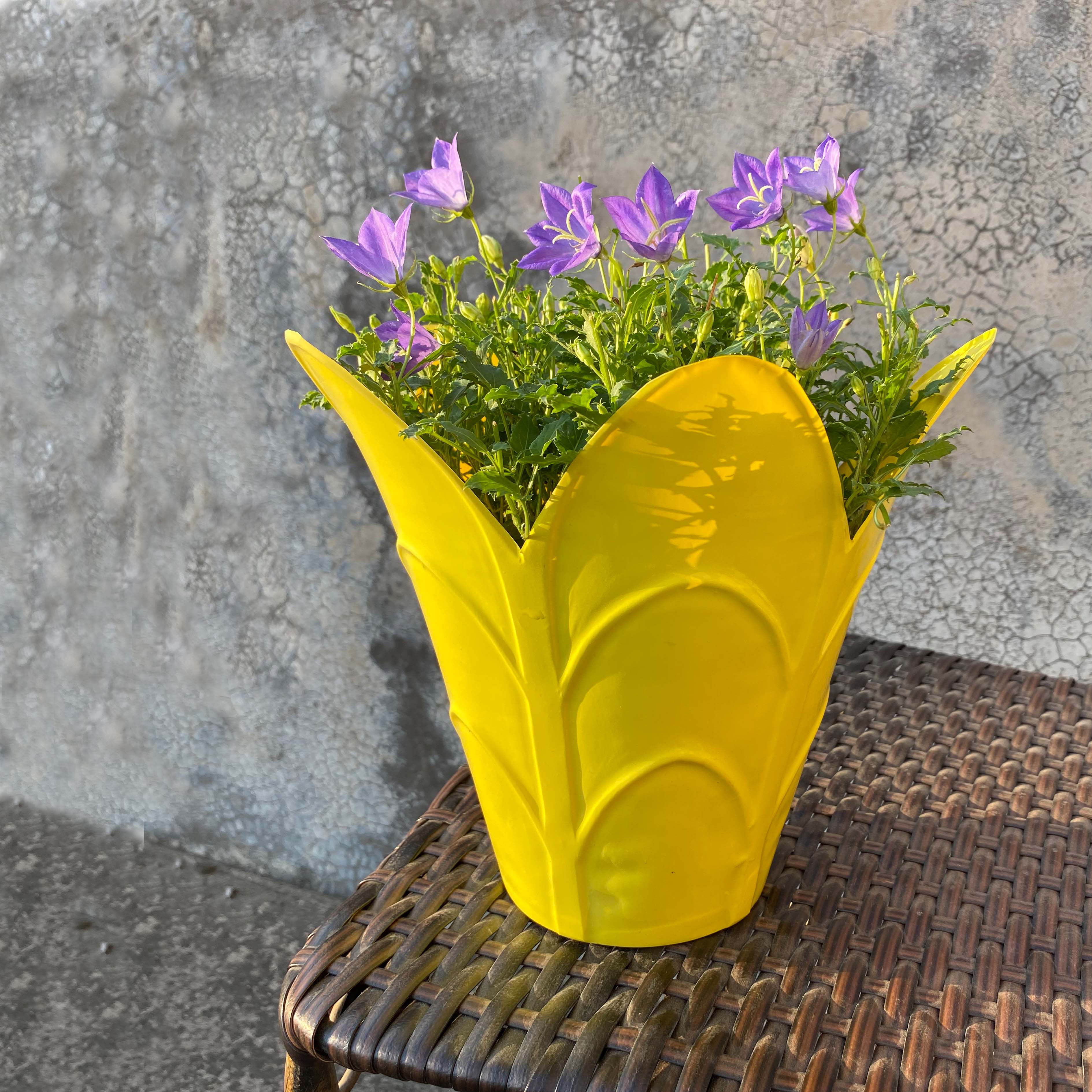 Scallop top plastic cover pot