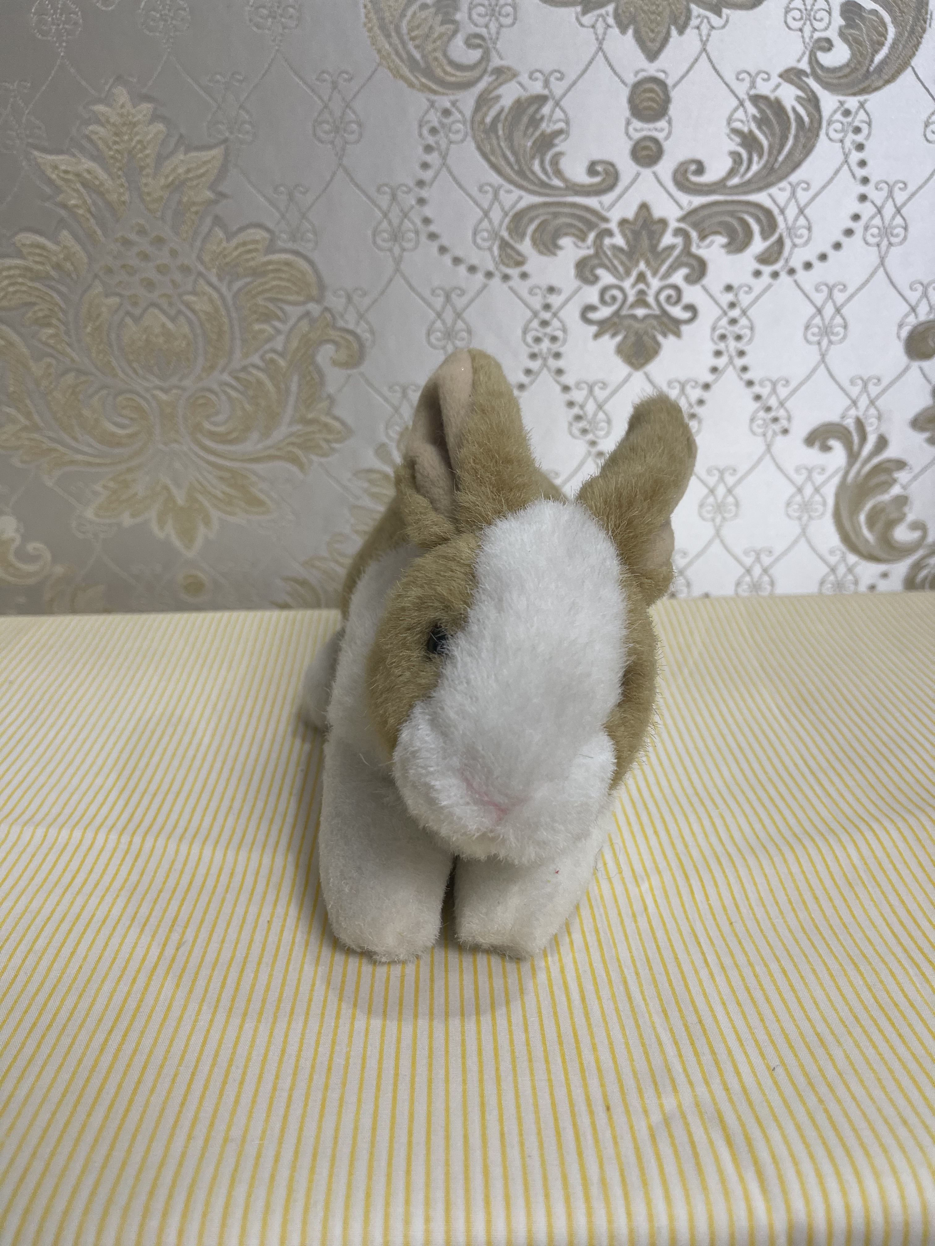 Khaki Rabbit Plush Toy