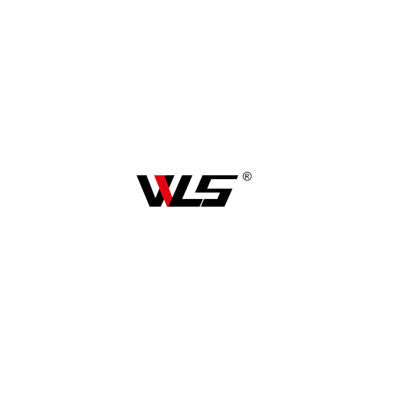 LUO YANG WEI LI SHENG TRADING CO.,LTD