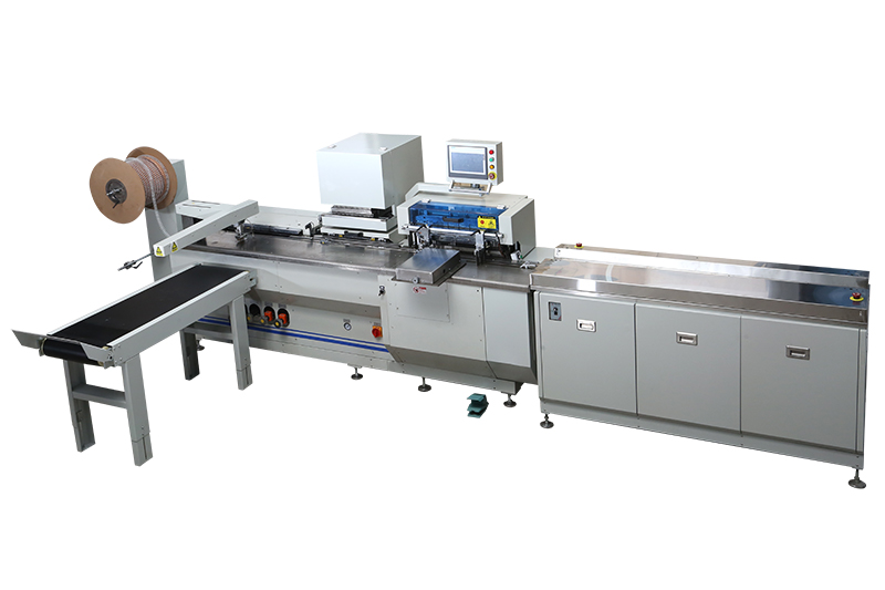 Automatic double wire punching and binding machine