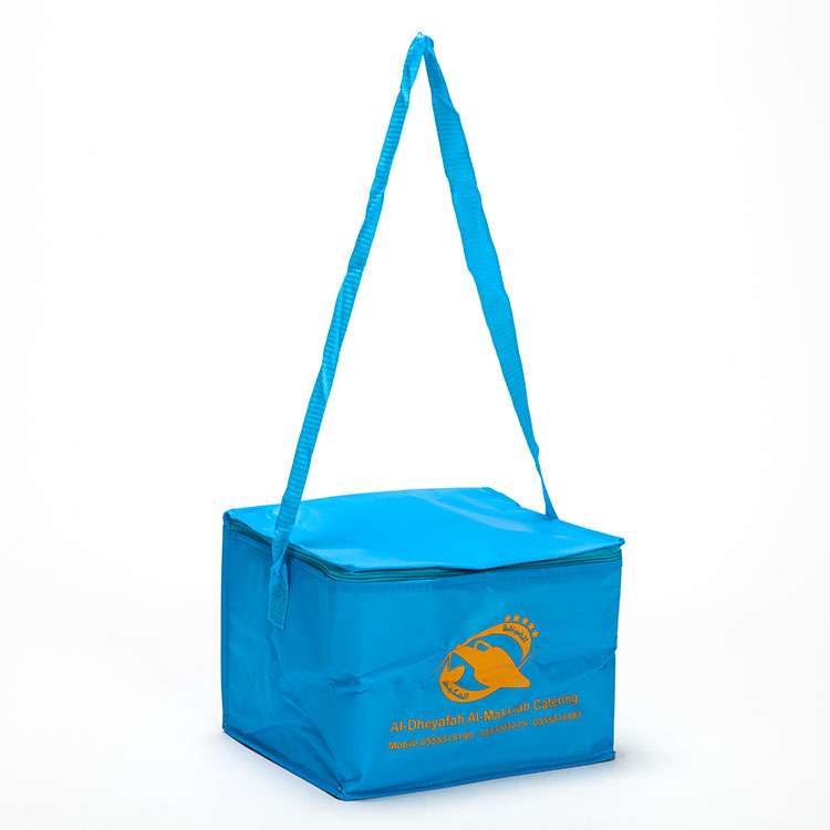 ECO Reusful Foam inside Insulated Cooler Bag