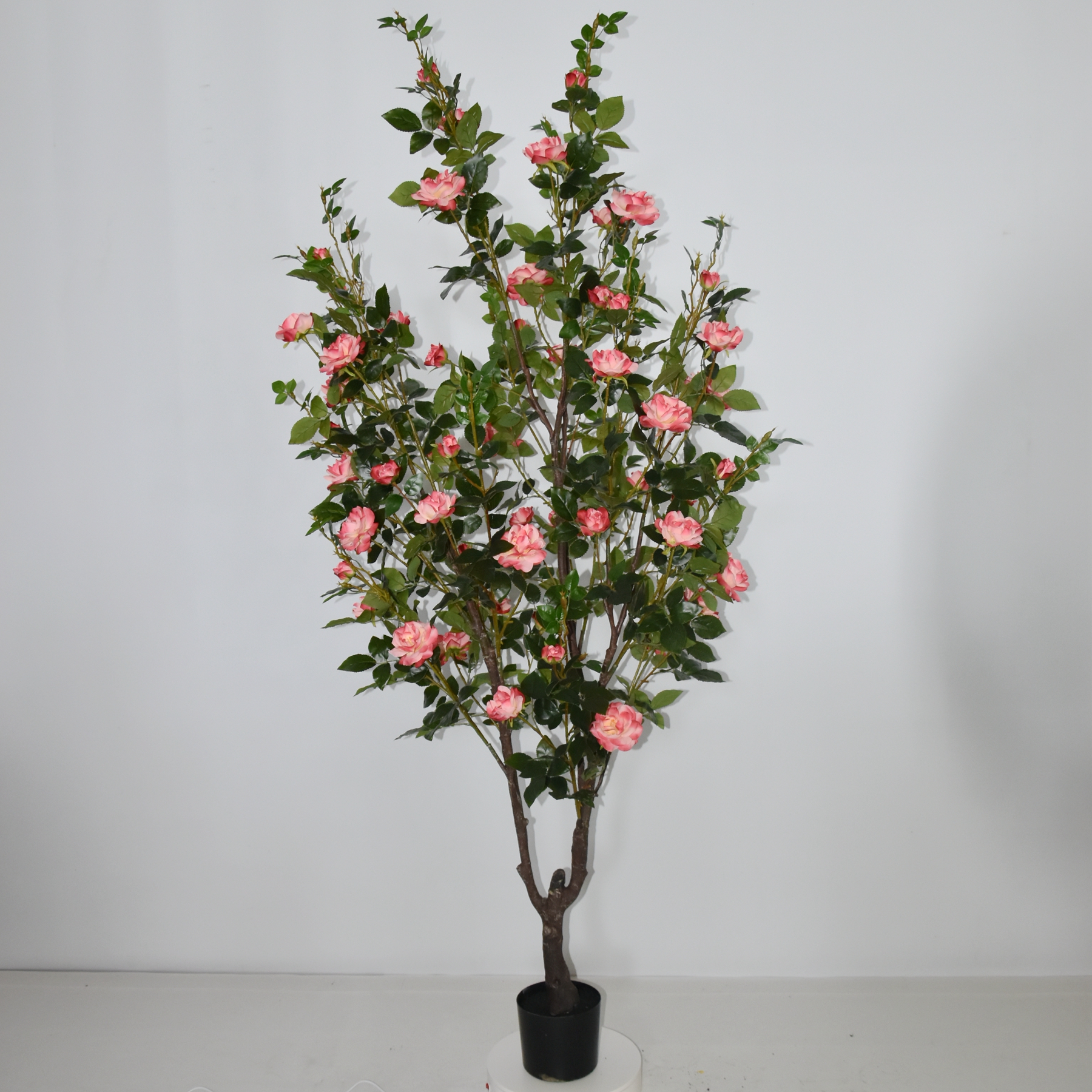 Flower tree,Rose tree