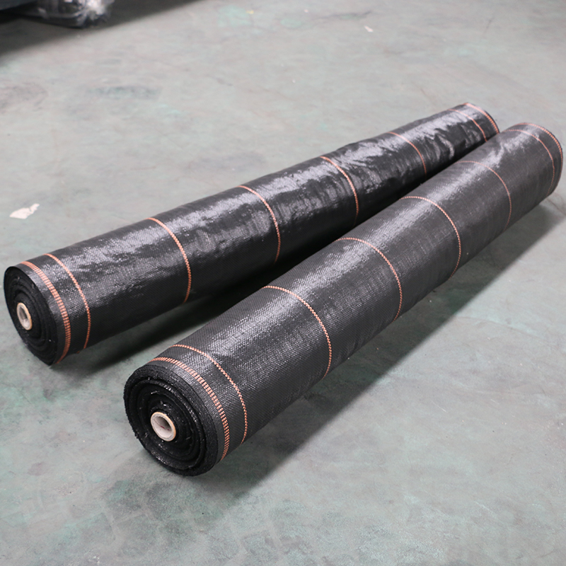 LINSHU DUODUO PLASTIC PRODUCT CO.,LTD – portarretrato 3